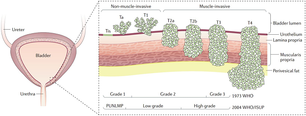 20210705143929001060/resource/images/2fea72d5ec3141a1a89c01c0cdaf0340_12.png