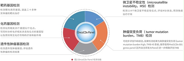 151基因突变检测产品（OncoCDx/TMB）