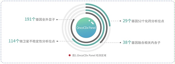 151基因突变检测产品（OncoCDx/TMB）